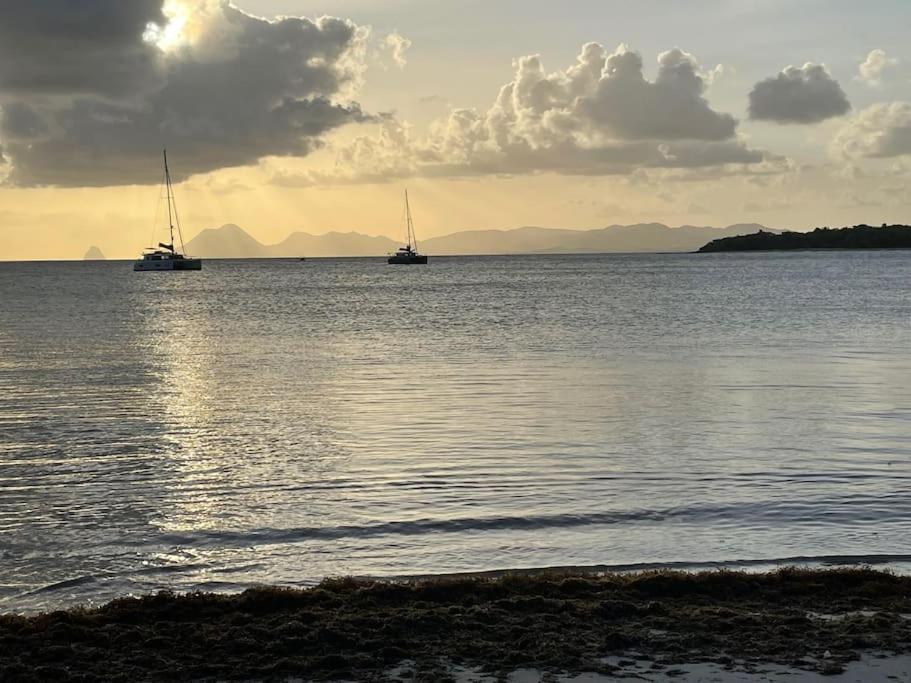 Cosy T3 Au Coeur De Sainte Anne Διαμέρισμα Εξωτερικό φωτογραφία